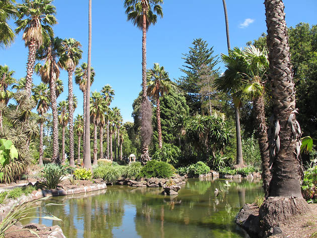 Best Secret Gardens And Parks In Melbourne