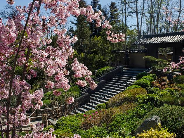 Japanese Gardens In Los Angeles And Where To Find Them