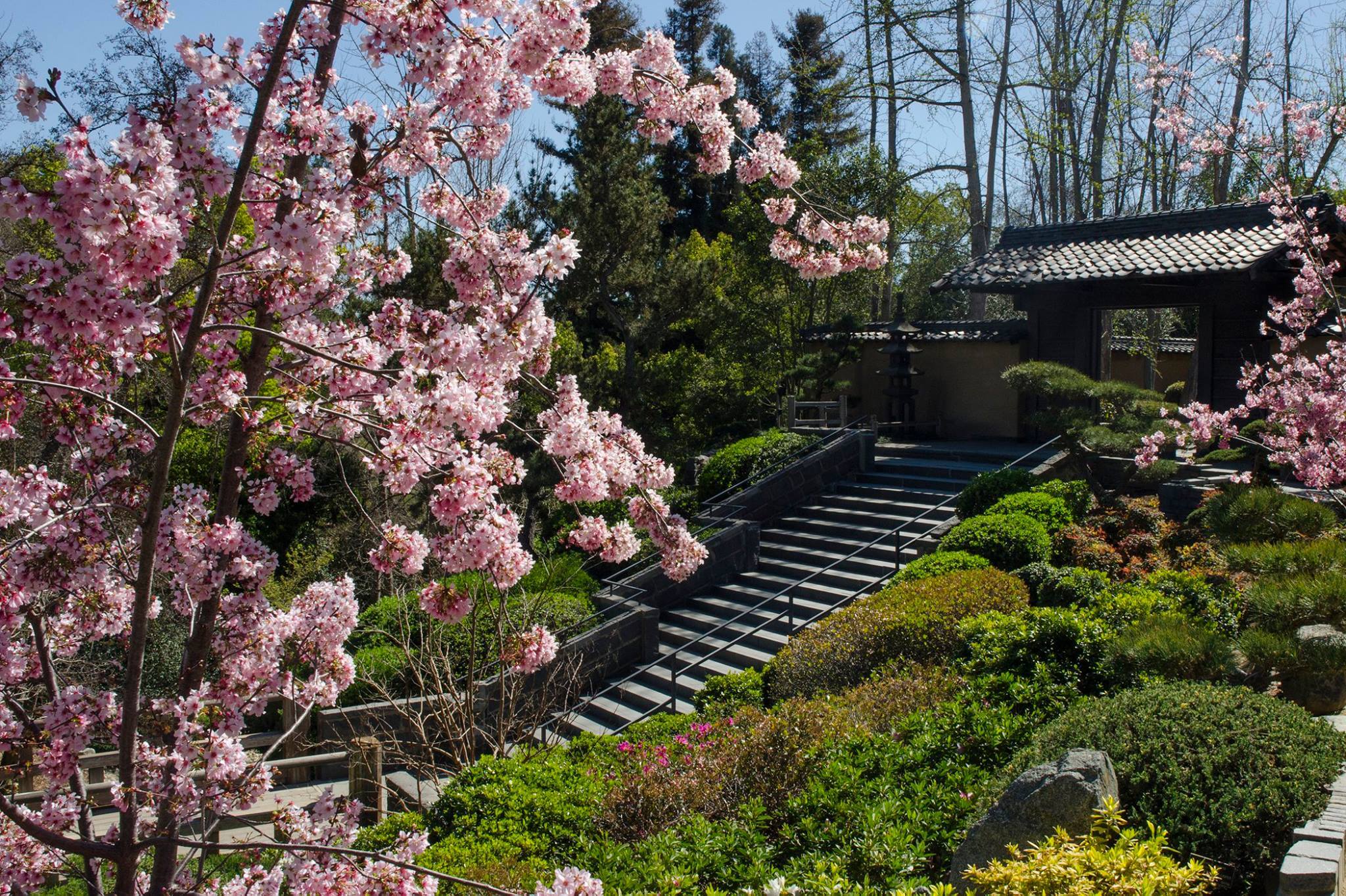 Portland Japanese Garden