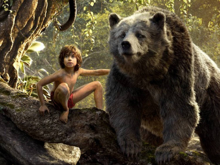 Jungle book 