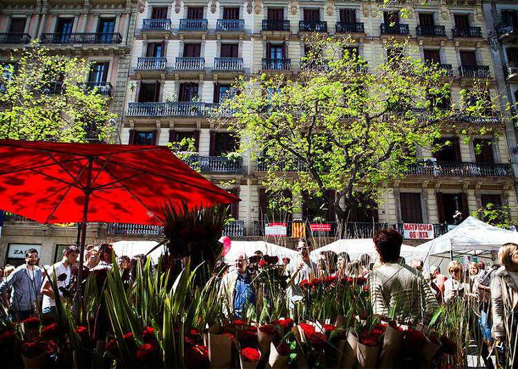 Sant Jordi