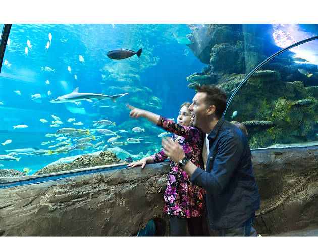 SEA LIFE London Aquarium  Tickets, facts, deals and general info \u2013 Time Out