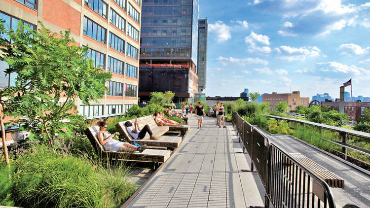 10 amazing free things you can do on the High Line this summer