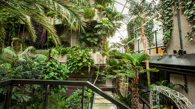 Barbican Conservatory