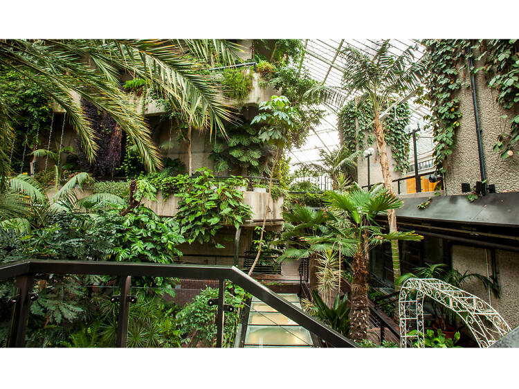 Barbican Conservatory