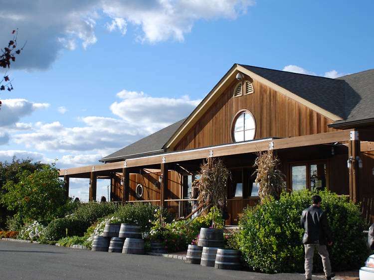 The best North Fork wineries