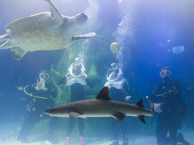 sea life sea life