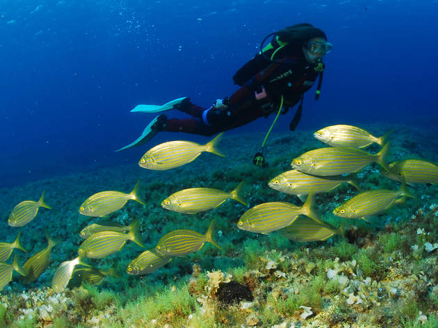 (© Consell Insular de Formentera - Pere Ureta)