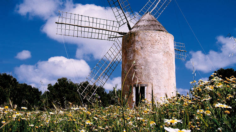 ©Consell Insular de Formentera - Alfredo Montero