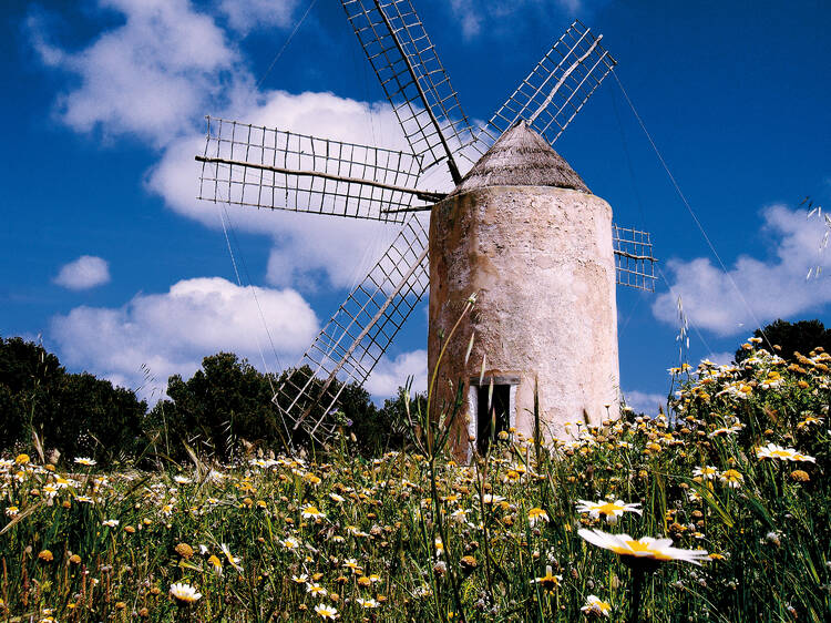 ©Consell Insular de Formentera - Alfredo Montero