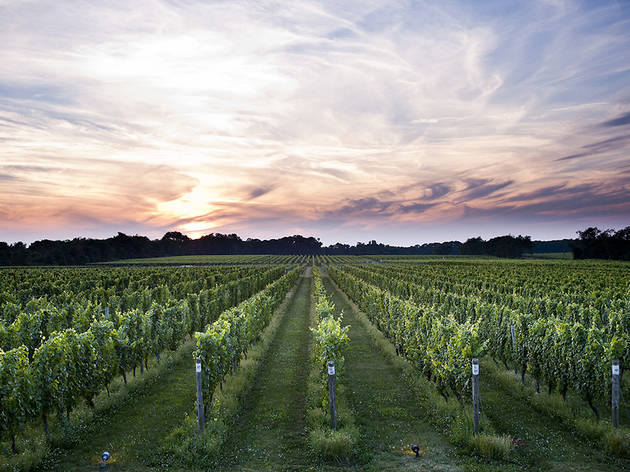 Bedell Cellars Bedell Cellars
