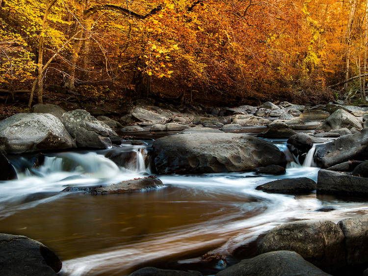 Rock Creek Park