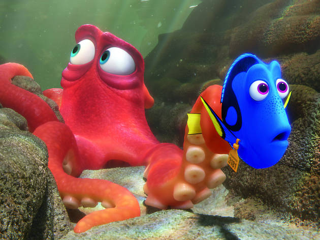 Buscando a Dory Buscando a Dory