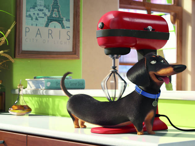 La vida secreta de tus mascotas La vida secreta de tus mascotas