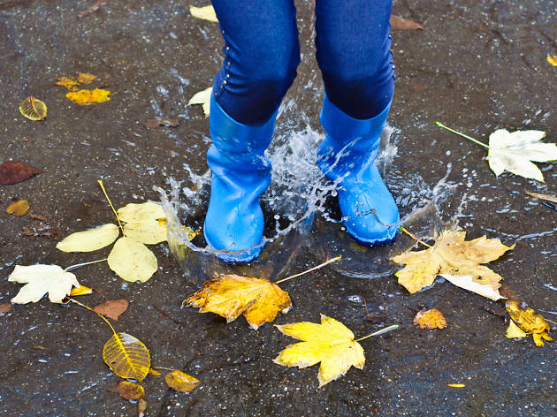 Dia de pluja Dia de pluja