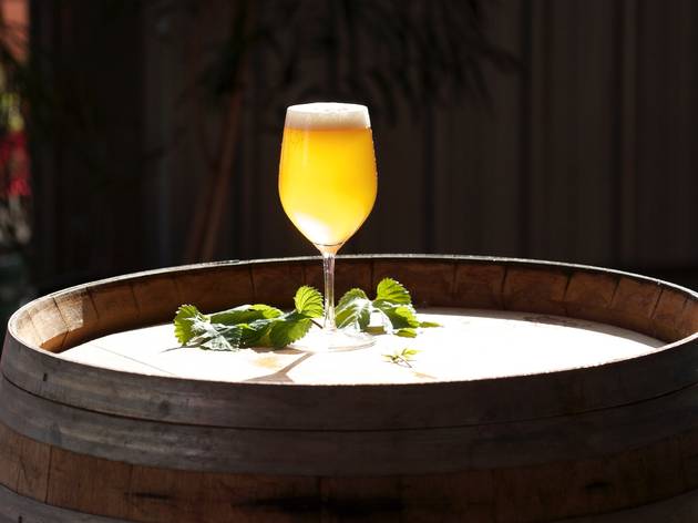 Hobart Brewing Company Glass of beer on a keg