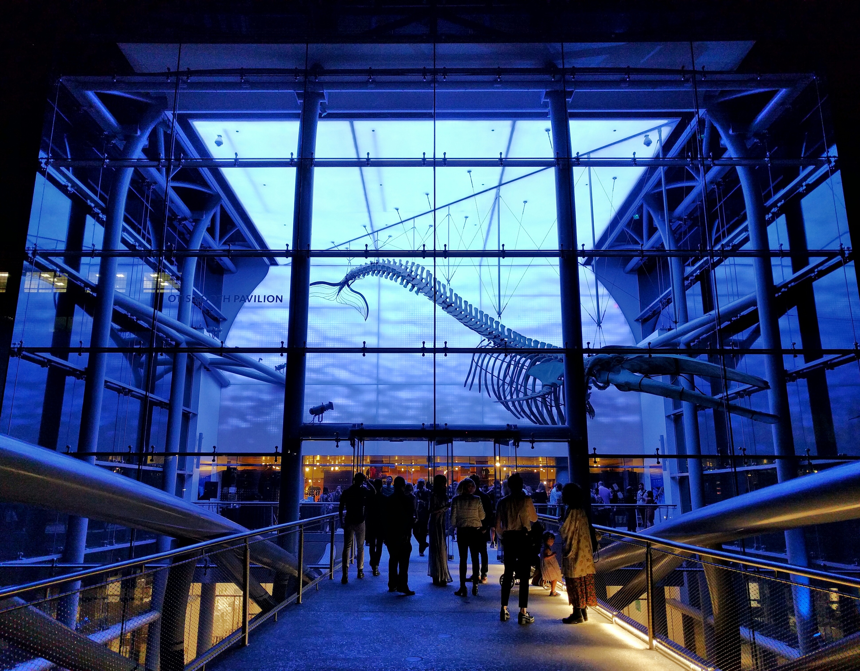 First Fridays at the Natural History Museum, Natural History Museum