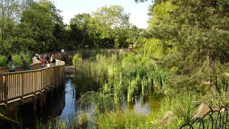 Dulwich Park