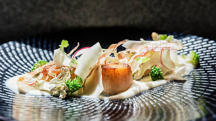 A high-end dish of scallops from Abode Bistro and Bar
