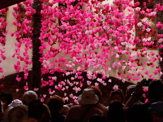 11 exposicions que no et pots perdre 11 exposicions que no et pots perdre