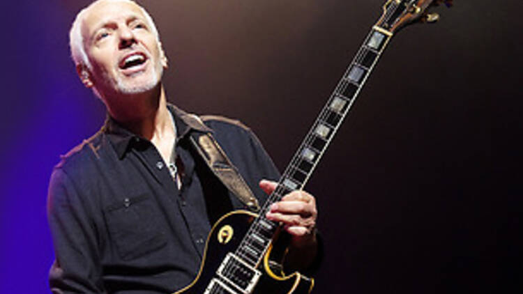 Peter Frampton 