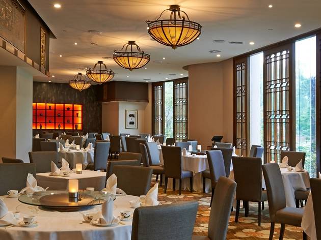 Dynasty Restaurant Dynasty Restaurant