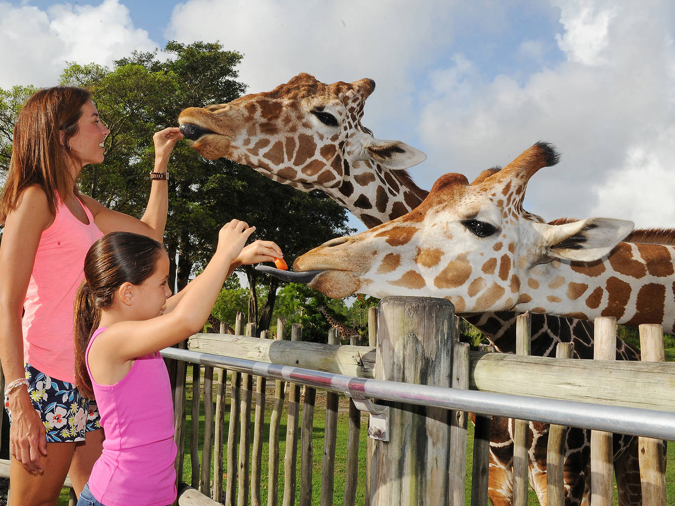 kid friendly places to visit in miami