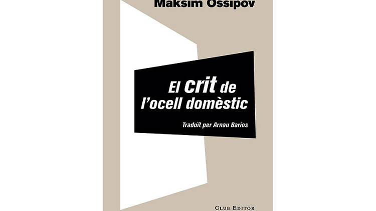 El crit de l'ocell domèstic