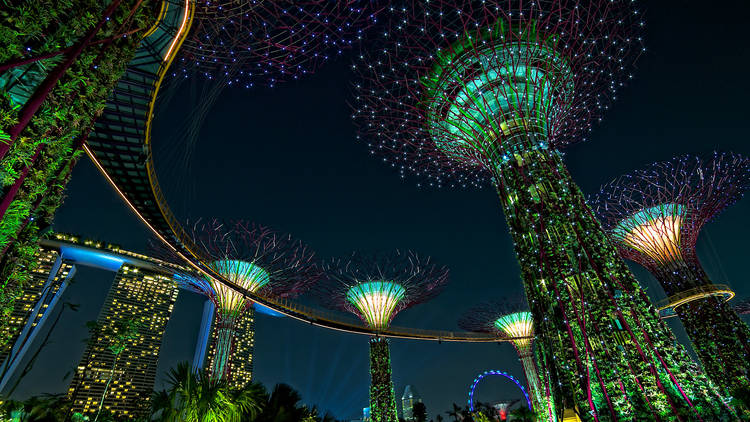 Supertrees of Gardens by the Bay after dark