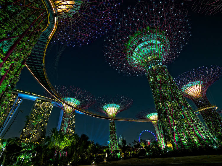 Supertrees of Gardens by the Bay after dark