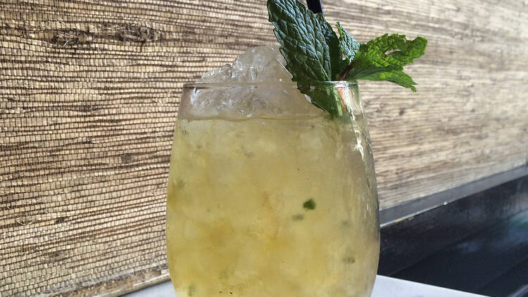 Mint julep at Maysville