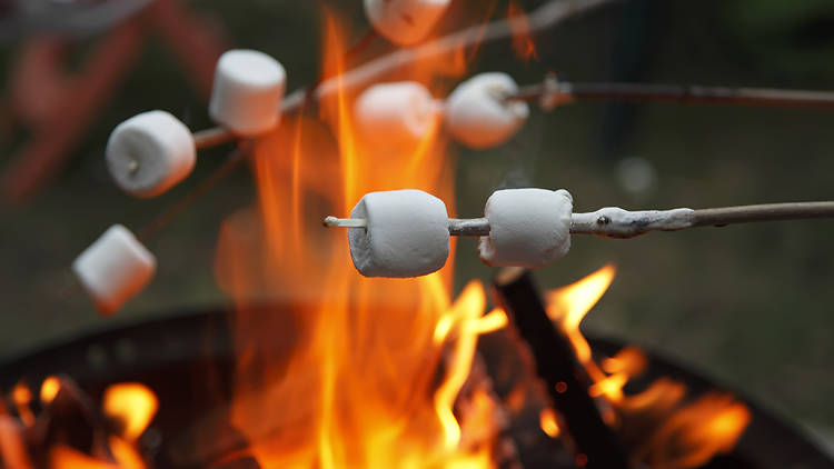 camp, camping, fire, bonfire, smores, marshmallows