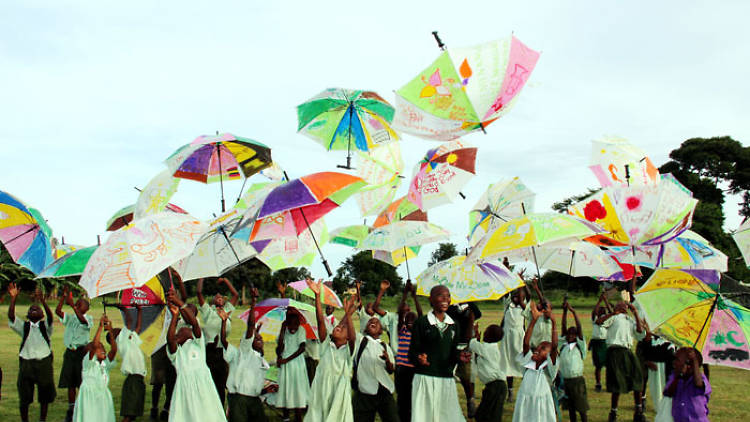 Take the family to Coro Safari Joy's Miracle