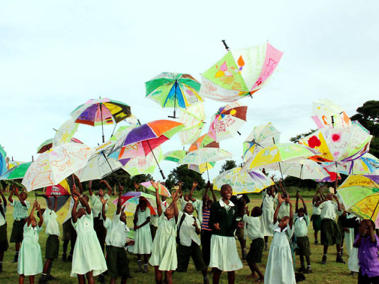 Take the family to Coro Safari Joy's Miracle