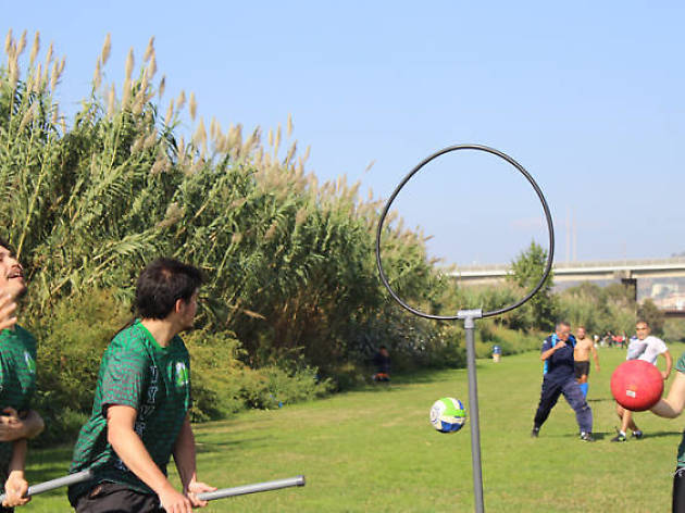 Quidditch Quidditch