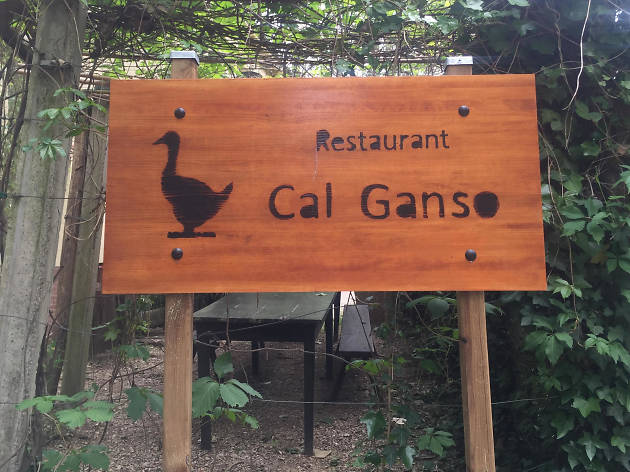 Cal Ganso Cal Ganso