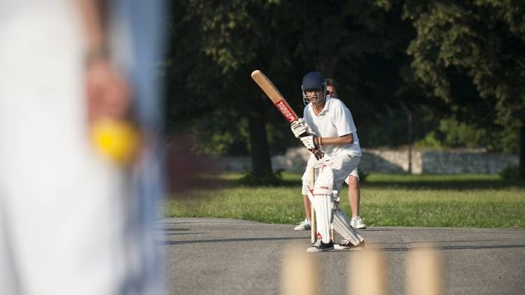 Cricket Cricket