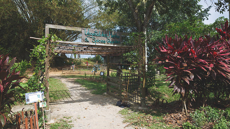 Pulau Ubin