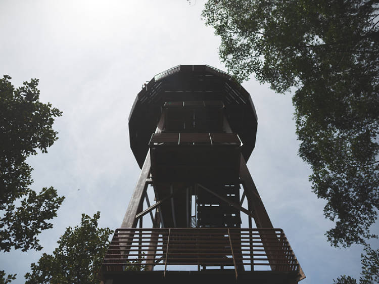 Jejawi Tower at Chek Jawa