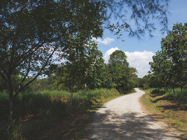 ketam mountain bike park