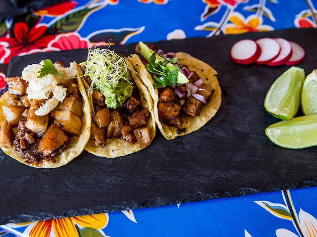 Gastro-Taquería Mexicana Gastro-Taquería Mexicana