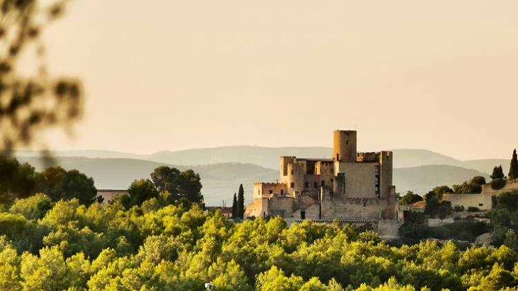 Tarda dia 2: coneixent el Parc del Foix