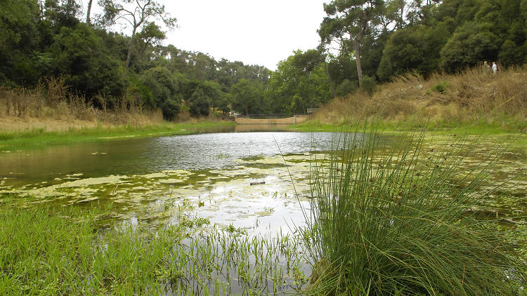 Matí dia 2: un parc amb moltes possibilitats