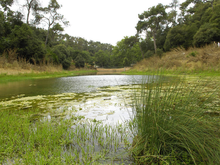 Matí dia 2: un parc amb moltes possibilitats