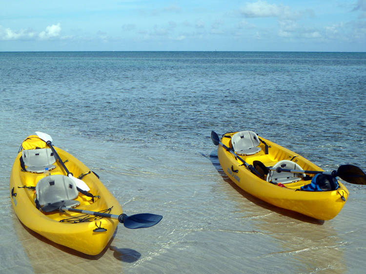 Miami Beach kayaking tour