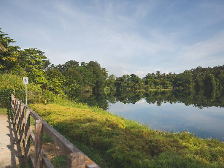 Instagram-worthy spots in Pulau Ubin