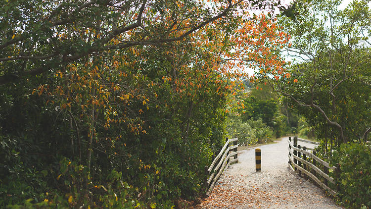 Fence and bollard on the Sensory Trail