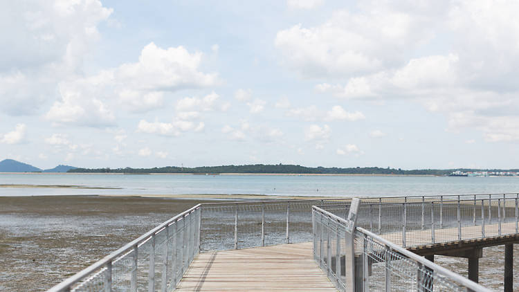 Chek Jawa boardwalk