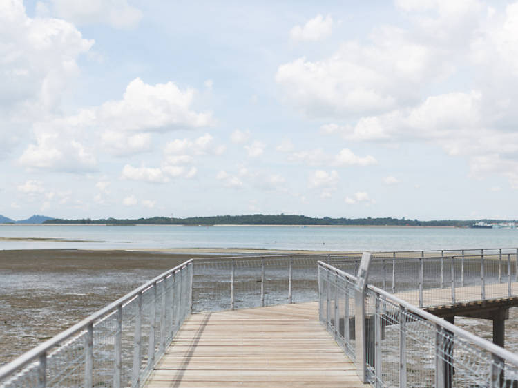 Chek Jawa boardwalk