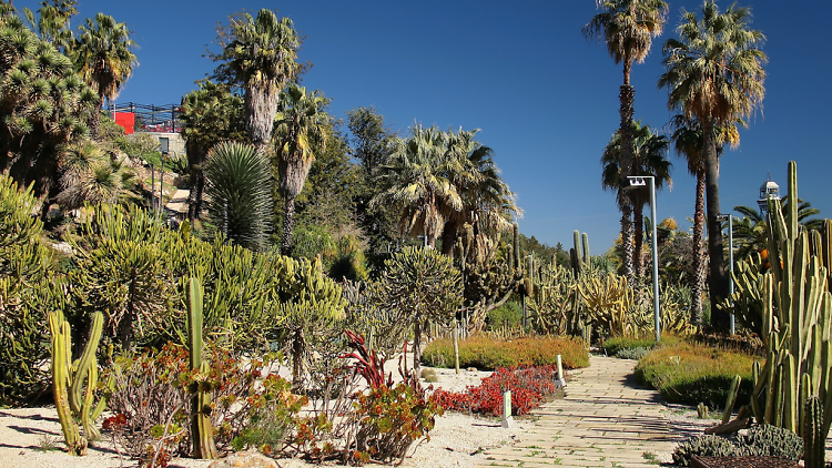 Jardins Mossèn Costa i Llobera